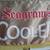 Vintage Seagram's Cooler Fabric Banner 3 thumbnail