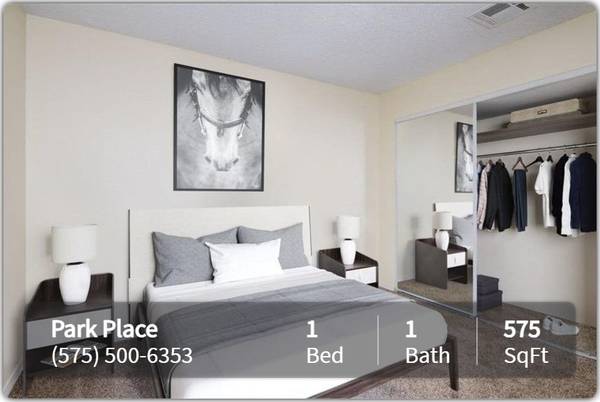 $995 / 1br - 575ft2 - Your search stops here! Exquisite views can be yours! 1 bed / 1 bath (Las Cruces - Near NMSU)63867374859779121