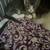 Kittens for small rehoming fee 7 thumbnail