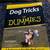 Dog Tricks for Dummies Book 1 thumbnail