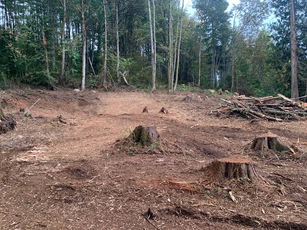 Licensed-Bonded-Insured! Forestry Mulching, Slash Pile Grinding, Mowin 1