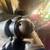 1957-1960 CADILLAC STARTER  Delco-Remy 1107657 4 thumbnail