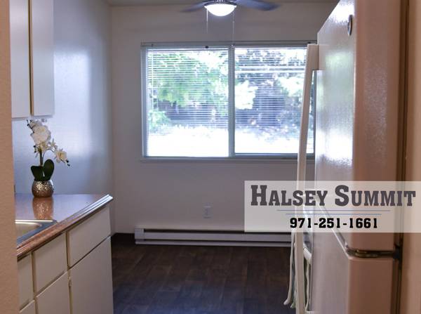 $1,365 / 2hab - GRATIS MES Y AHORRA $500 MÁS | Amplio de 2 habitaciones - Diverso, Multigeneracional (Wilkes-East)63914739738498120