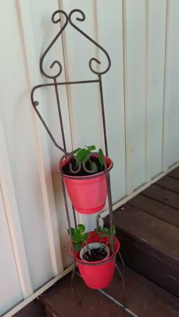 3 Ft. Tall Iron Plant Stand 1