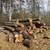 Firewood Service - from NEPA, to northern NJ and the Mid-Hudson Valley 4 thumbnail