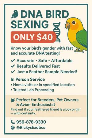 DNA Bird Sexing / ADN Para Pajaros 1