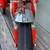 2004 Raleigh Chopper Mk3 Reproduction Unboxed and all tuned up. 12 thumbnail