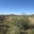 1.5 Acre of Vacant Land Ready-To-Build in Pima County, AZ 2 thumbnail