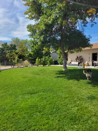 $3,500 / 5br - 3000ft2 - Horse Property 5 Bdrm Ranch Style For Sale or Lease/Option (Henderson)64143967715585122