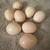 Fertilized Silkie Eggs 1 thumbnail
