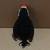 Puffer The Puffin Beanie Baby 7.5" OBO 4 thumbnail