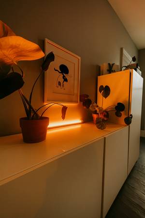 $2,000 / 2br - $2,000 / 2br - Cozy, Sunlit Private Room in Broolyn (Furnished)63854290335233123