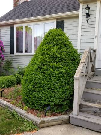 $1,050 / 1br - 3500ft2 - Compañero de cuarto para gran casa... ¡Todo incluido! (Atkinson)63656195892993122