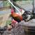 Roosters and hens available 2 thumbnail