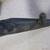 Vintage Suzuki TS 400 Exhaust Pipe TS400 Enduro 5 thumbnail