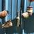 Rustic Farm Truck Wind Chimes/Mobile 2 thumbnail
