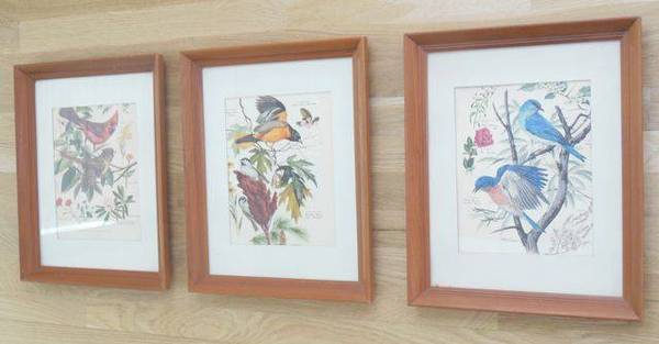 1950s Framed Bird Prints by Arthur Singer 1