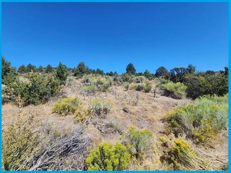 $15,649 đÂĄExcelente escapada lejos de la ciudad! 2.92 acres64192591118851122