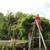 Tree Removal / Pruning / Stump Grinding / Arborist 3 thumbnail