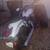 2013 Yamaha XVS950 V-Star 3 thumbnail