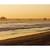 Beautiful Beach Condo steps to Beach and Pier 19 thumbnail