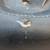 Harley Davidson passenger seat 4 thumbnail