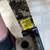 Apa Black Mamba 31" 60# compound bow 1 thumbnail
