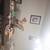 Looking for roommate 1 bedroom 4 thumbnail
