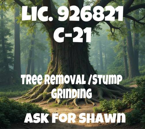 🌳 Tree Removal, Tree Trimming, Stump Grinding 1