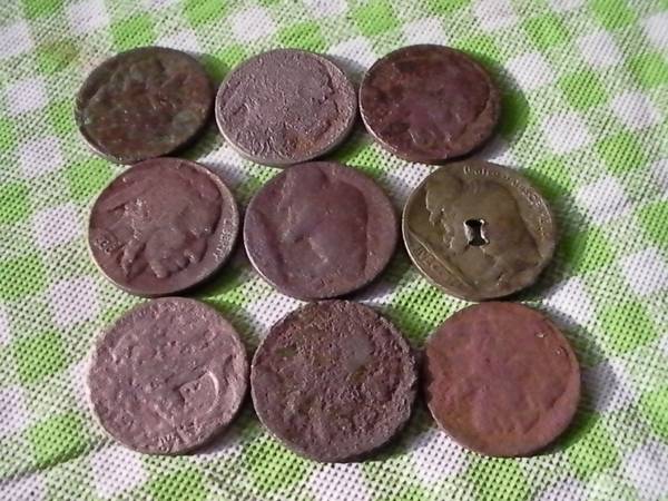 9 Old Buffalo/ Indian head Nickels Bristol/ Burlington 1