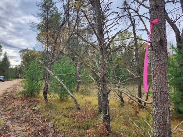 $25,900 4.97 Acres! A Hunter's dream! (Baldwin)64308162692738121