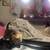 Female Tabby Kitten 2 thumbnail