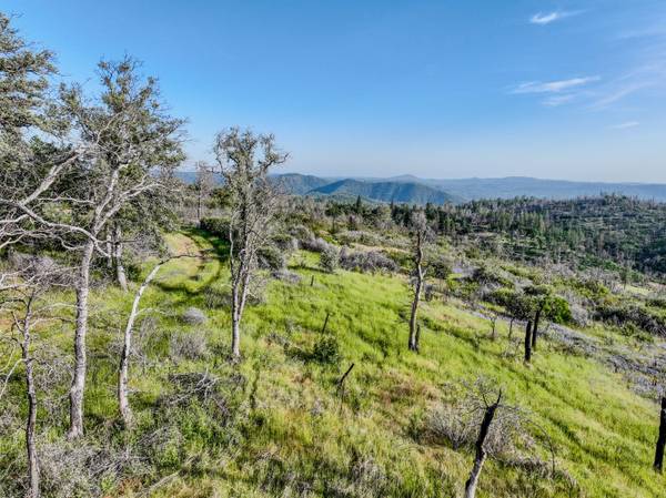 $275,000 / 5246366ft2 - Your Private Retreat with Panoramic Views: 120 Acres! (North San Juan)63952105365635124