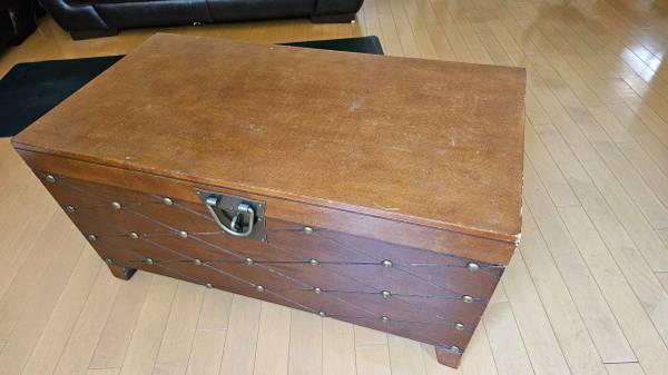 Trunk coffee table 1