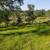 10.06 Acres with AG Water Rights 7 thumbnail
