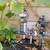 Irrigation,sprinkler,drip systems install and repair 21 thumbnail