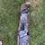 2017-2022 Ford F250 F350 rear bumper - 5 thumbnail