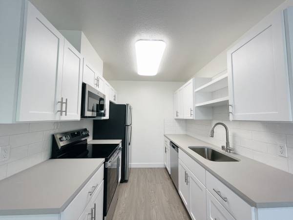 $995 / 1br - 600ft2 - ¡Hermoso apartamento moderno de una habitación! (fremont / union city / newark)63850007865603122
