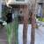 Glass Cylinder Vases with Fake Grass, Bamboo, Dried Sticks, Rocks 1 thumbnail