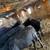 Feeders, Black/Dairy Cross 2 thumbnail