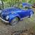 1969 vw bug 3 thumbnail