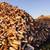 **WI CERTIFIED KILN DRIED FIREWOOD ** 1 thumbnail