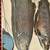 Vintage Finland Travel Poster Featuring Country’s Fishing Experiences 18 thumbnail