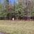 Lot for sale in Gated Community on Clarks Hill Lake 4 thumbnail