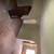 RENT TO OWN - House in Alton - AVAILABLE NOW 21 thumbnail