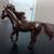 Toy Horses and Accessories 6 thumbnail
