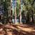 35 Acres Redwood Retreat Rd, Dwellings, Pads, Water, Views, WOW 15 thumbnail