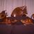 6 Piece Ocean Life Wood Carving Collection 3 thumbnail