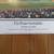 Red Sox Panoramic print 2004 world series w/ autos Un-four-gettable 2 thumbnail