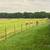 Round Bale Hay 3 thumbnail